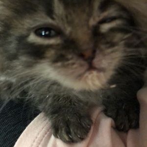 Meet your Posher, Jill